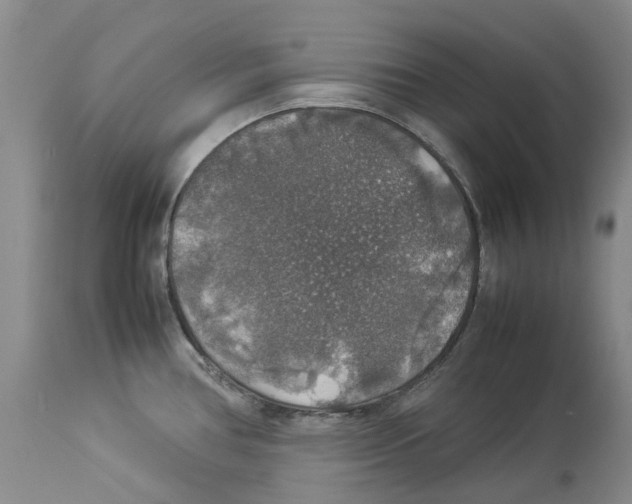 X0000114171386200911051518