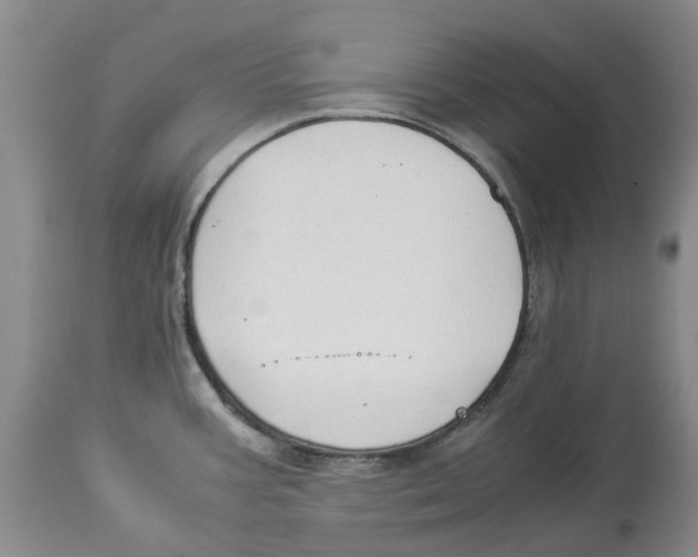 X0000114171387200911051518