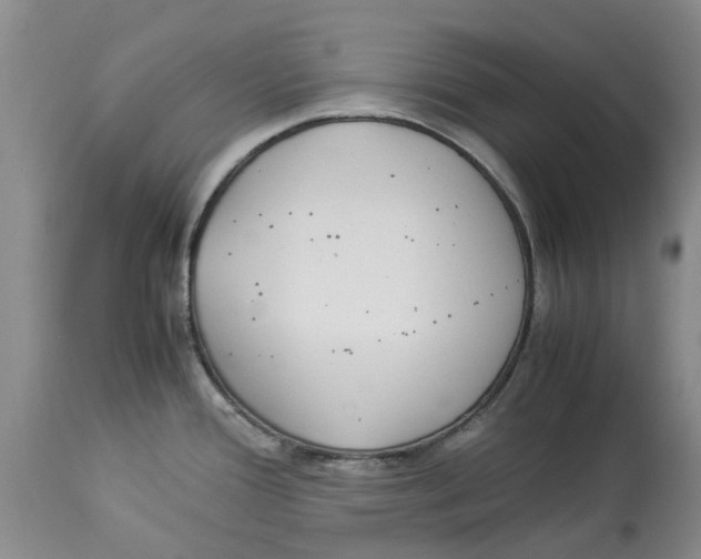 X0000114171388200911051518