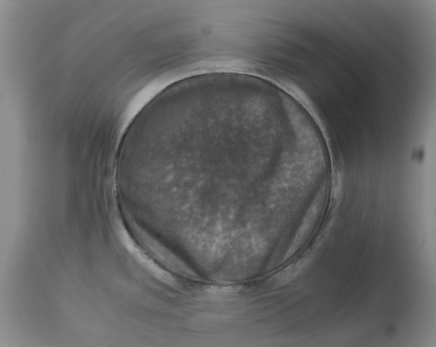 X0000114171389200911051518