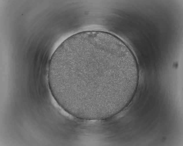 X0000114171390200911051518