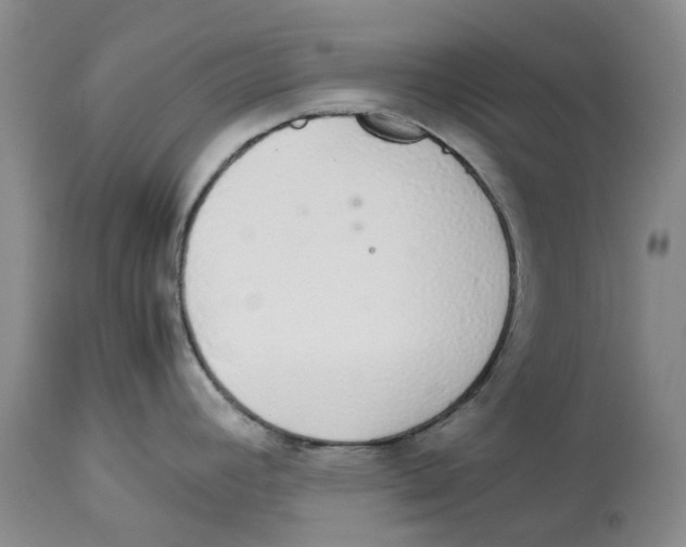 X0000114171392200911051518