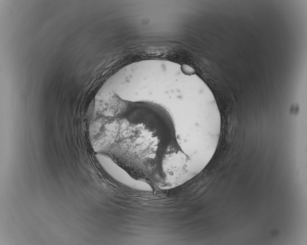 X0000114171394200911051517