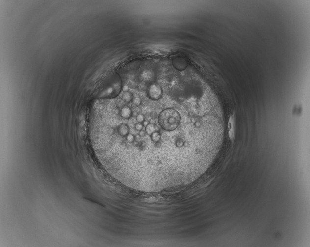 X0000114171395200911051517