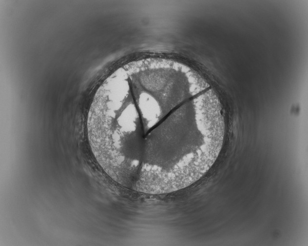 X0000114171398200911051517