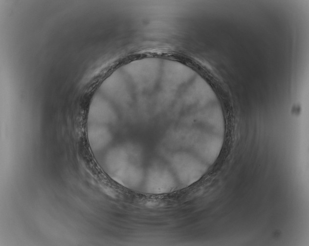 X0000114171399200911051517