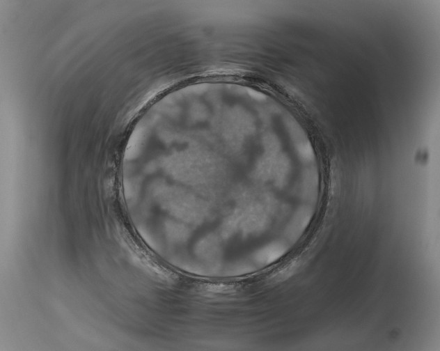 X0000114171401200911051517