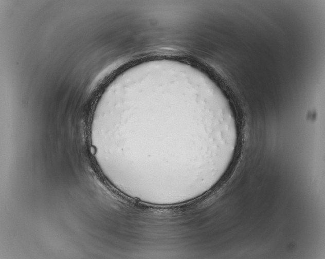 X0000114171402200911051517