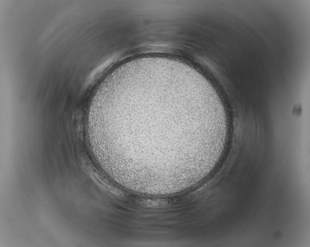 X0000114171403200911051517