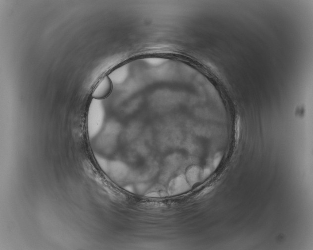 X0000114171405200911051517