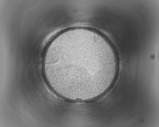 X0000114171406200911051517