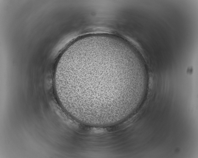 X0000114171407200911051517