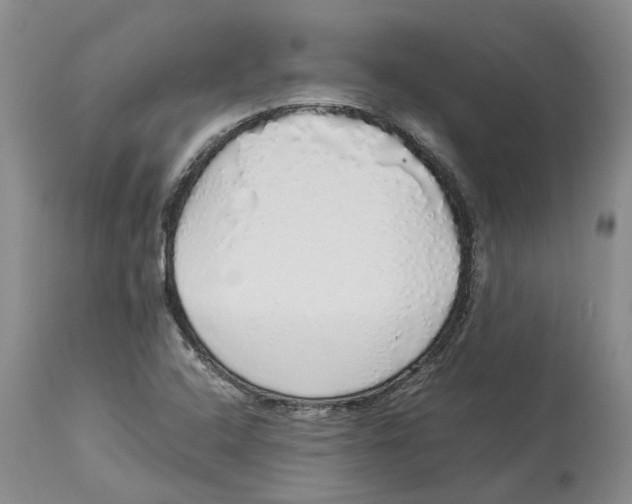 X0000114171408200911051517