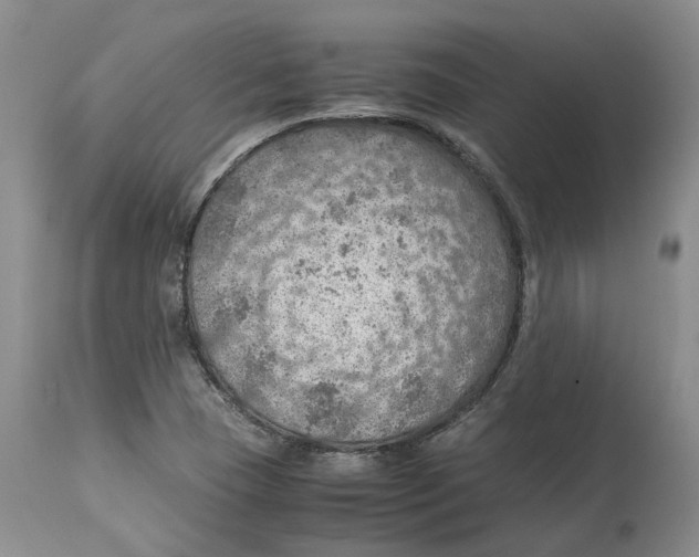 X0000114171409200911051517