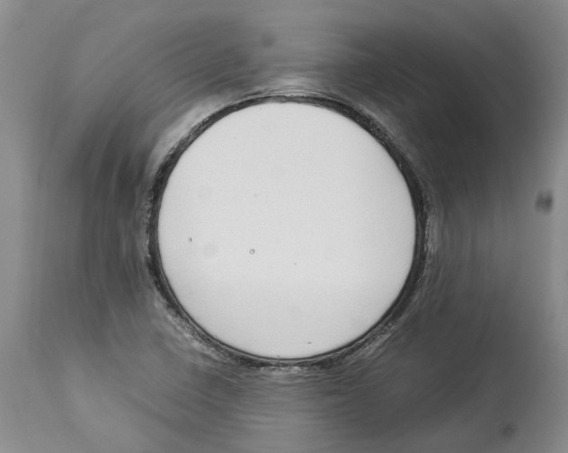 X0000114171410200911051517