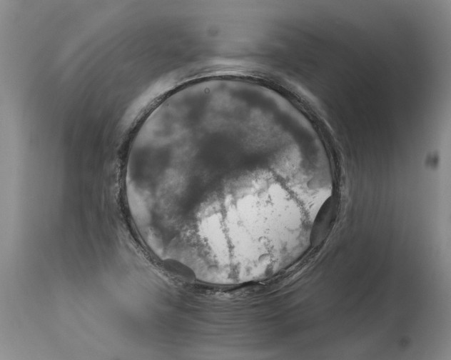 X0000114171411200911051517