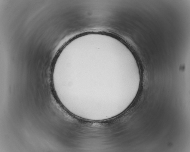 X0000114171412200911051517