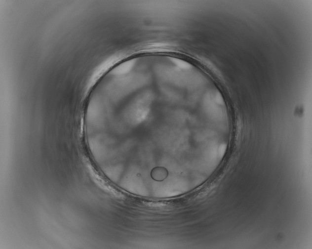 X0000114171413200911051517