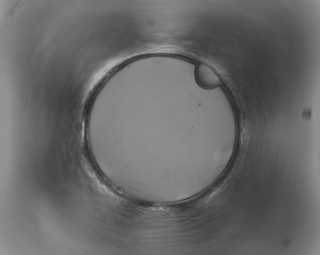 X0000114171414200911051517