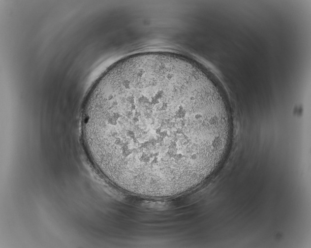 X0000114171415200911051517