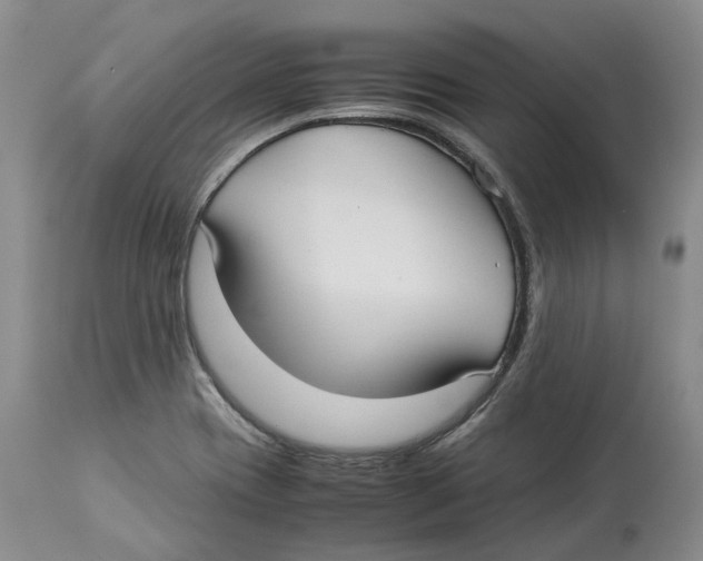 X0000114171417200911051517