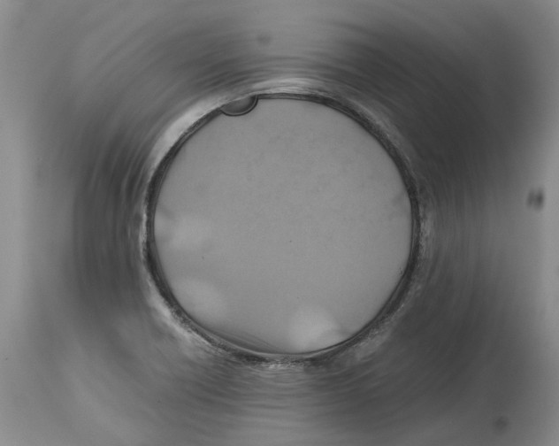 X0000114171418200911051517