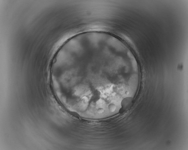 X0000114171419200911051517