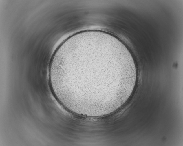 X0000114171420200911051517