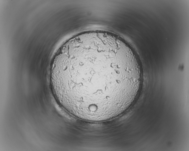 X0000114171421200911051517