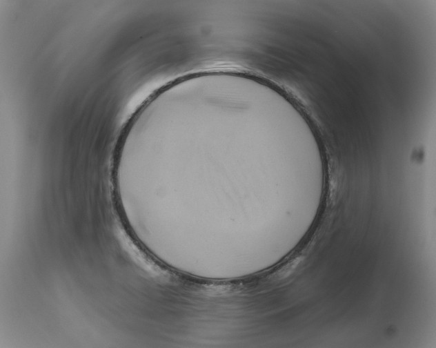 X0000114171422200911051517