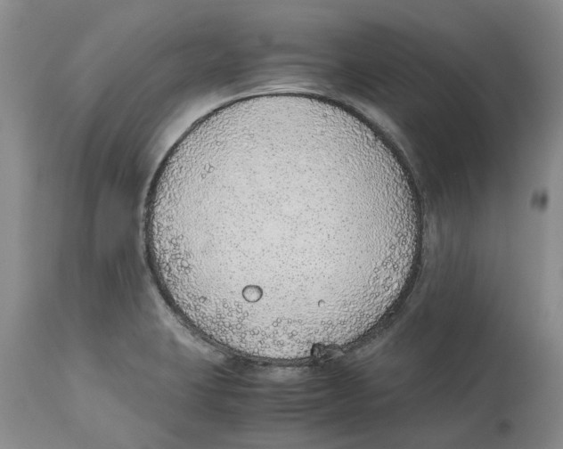 X0000114171423200911051517