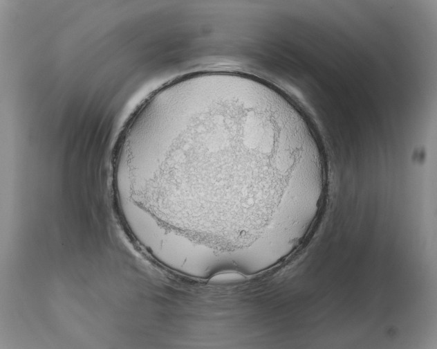 X0000114171424200911051517