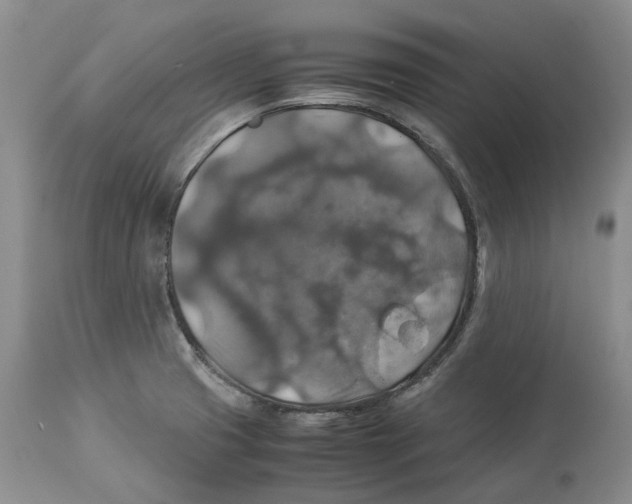 X0000114171425200911051517