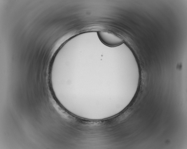 X0000114171426200911051517