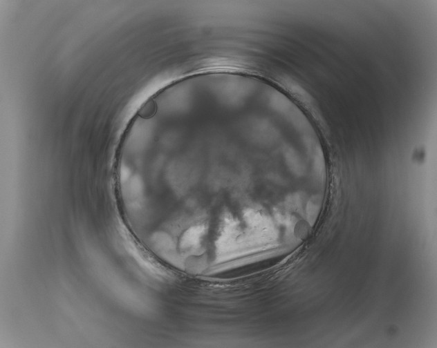 X0000114171427200911051517