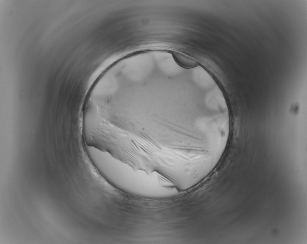 X0000114171428200911051517