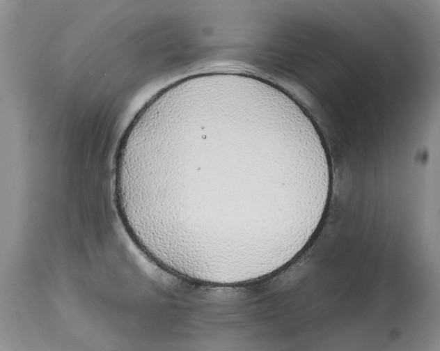 X0000114171430200911051517