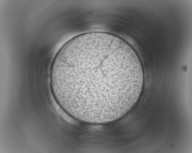 X0000114171431200911051517