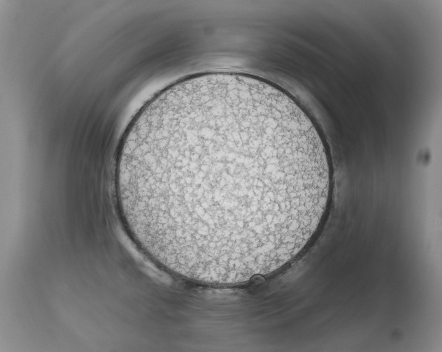 X0000114171432200911051517