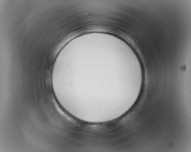 X0000114171433200911051517