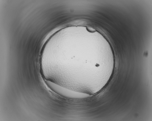 X0000114171434200911051517