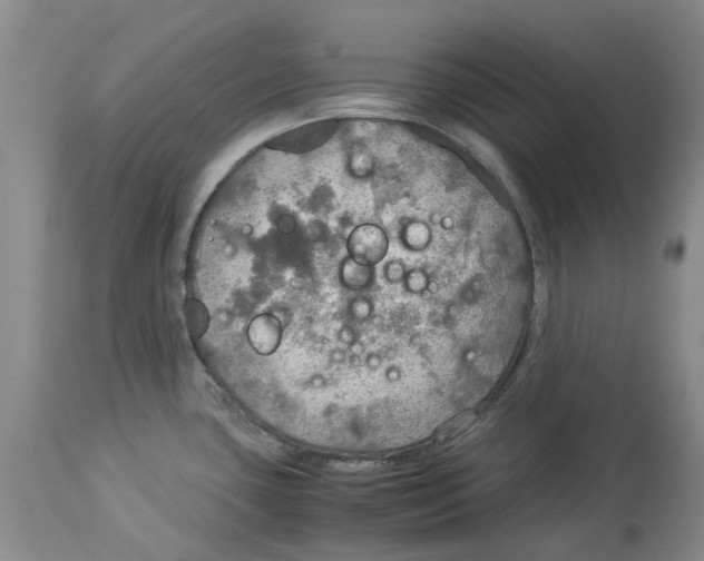 X0000114171435200911051517