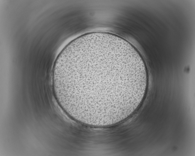 X0000114171436200911051517