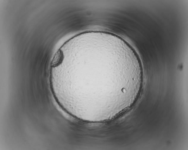 X0000114171437200911051517