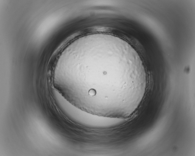 X0000114171438200911051517