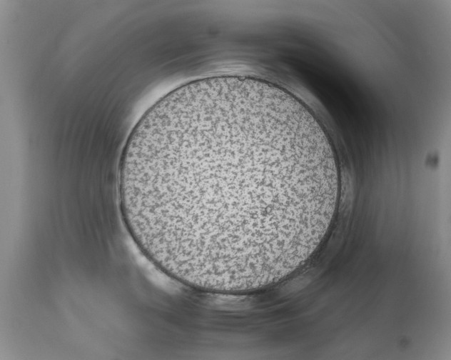 X0000114171439200911051517