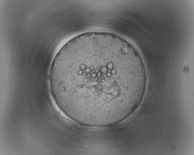 X0000114171440200911051517