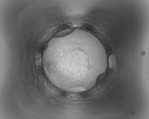 X0000114171443200911051517