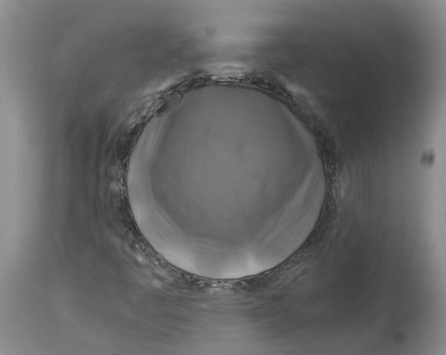 X0000114171445200911051517