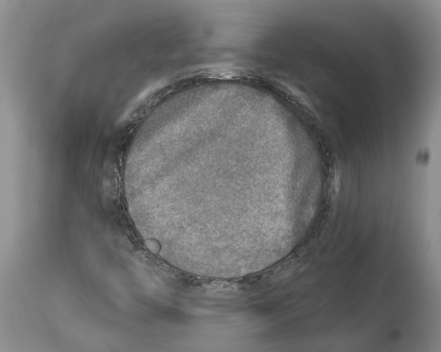 X0000114171446200911051517